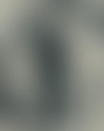Due figure (preview)