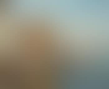 Les Martiques (preview)