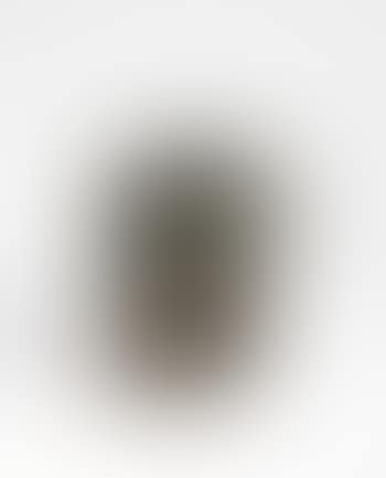 Ohne Titel (Nagelbaum) (preview)