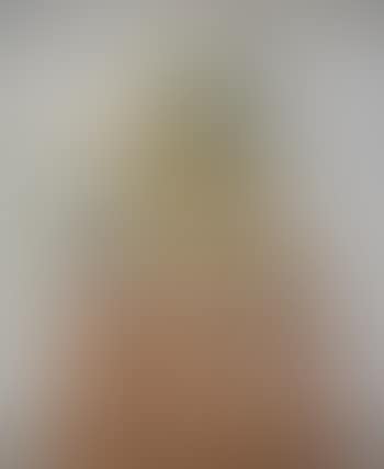Vanité (preview)