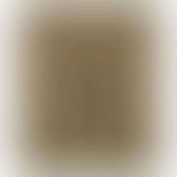 Concetto Spaziale, Attesa (preview)
