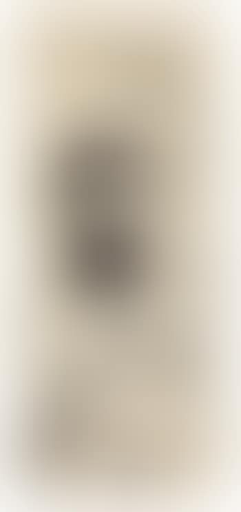 Selbstbildnis mit drei Handstudien (preview)