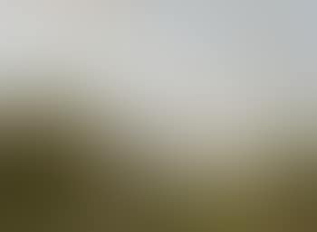 River landscape in the summer (preview)