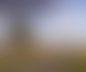 Broad summer landscape (preview)
