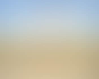 Sheep grazing, Wimmera (preview)