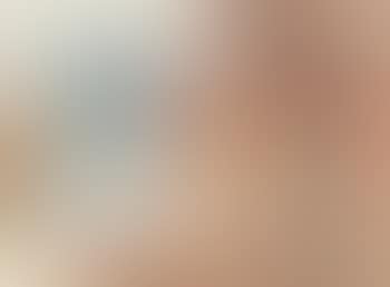 Blauer Heusgiebel und Baum (preview)