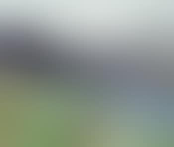 See - Sommer (preview)