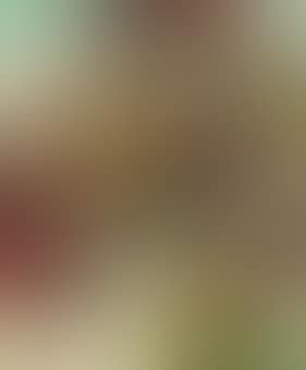 Woodland Scene (preview)