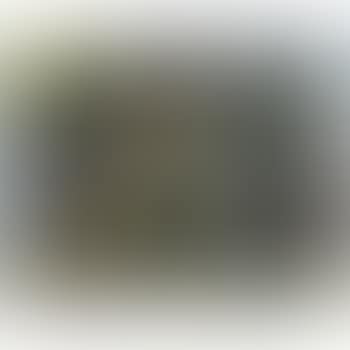 Kinderspeeltuin (preview)