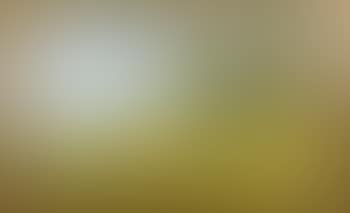 Autumn landscape (preview)
