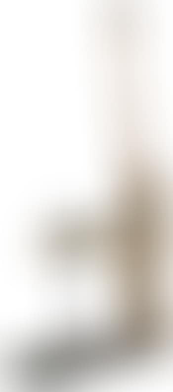 Venus a la giraffe (preview)