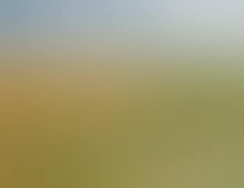 Walberswick (preview)