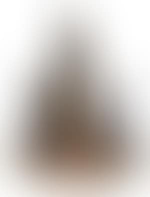 Landscape 4 (preview)
