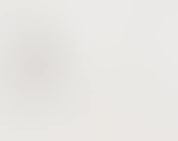Horse studies (preview)