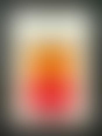 Campbell's soup can (Tomato) (preview)