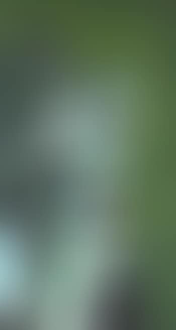 Der Fanger (preview)