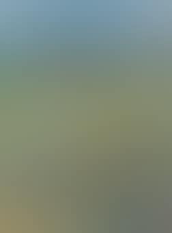 Paysage des environs de Helsinki (preview)