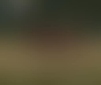 Reiter im Park (preview)