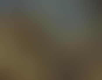 Winterlandschaft (preview)