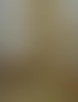Berken studie: birches in a landscape (preview)