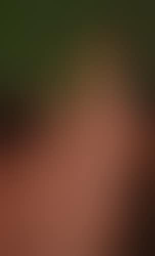 Lesender Kardinal (preview)