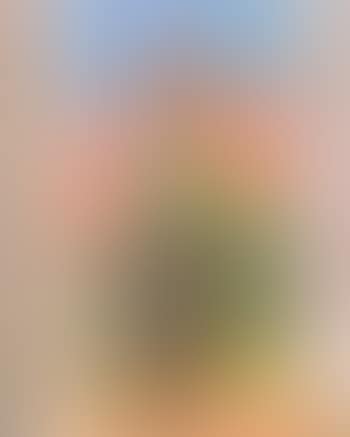 Still life with flowers in a vase (preview)