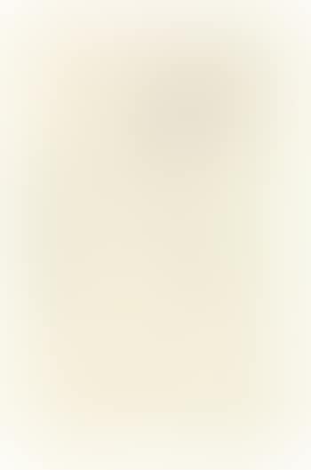 Two Female Nudes (preview)