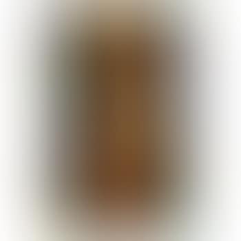 SF-343 (preview)