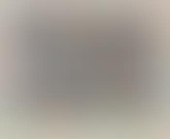Untitled (silver spot landscape) (preview)
