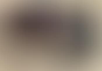 Katze und Vogel (preview)