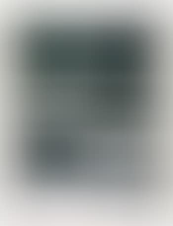 Zeige Deine Wunde (preview)
