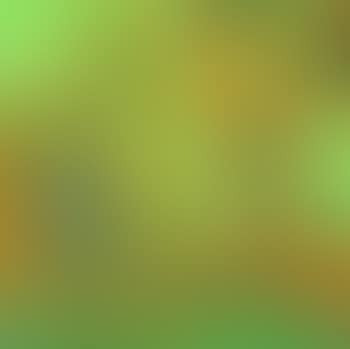 Ohne Titel (preview)