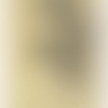 Portrait Of A Lady (preview)