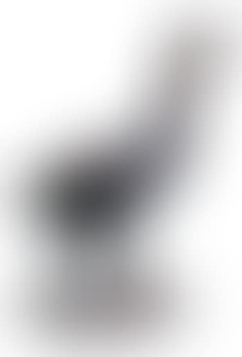 Oie (preview)