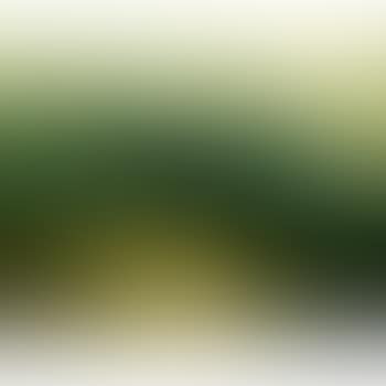 Paysage Au Moulin, Effet D'orage (preview)