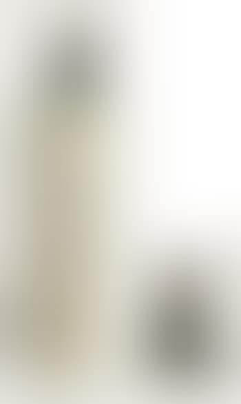 Mann mit Salamander (preview)