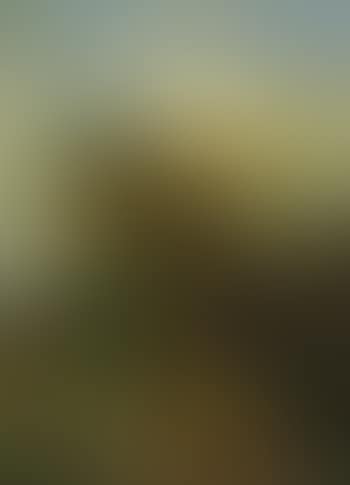 Kaukasische Landschaft mit orientalischen Reitern bei einem Zeltlager (preview)