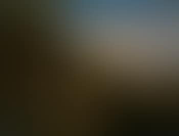 Nymphen in einer arkadischen Landschaft (preview)