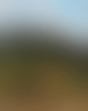 The sandling at Altaussee (preview)