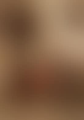 The young soldier (preview)
