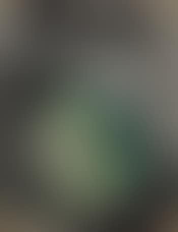 Artichaut (preview)