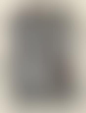 No25-1960 (preview)