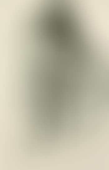 Artistin mit Pferd (preview)
