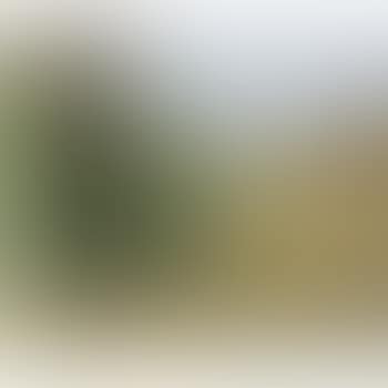 Automne (preview)