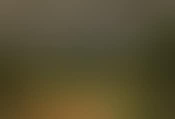 Paysage (preview)