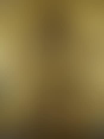 Projet d'Iconostase (preview)