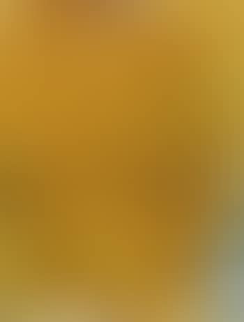 Composition jaune (preview)