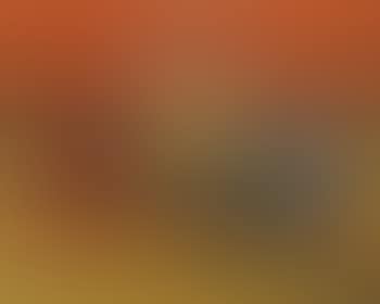 Nature Morte a la Carafe (preview)