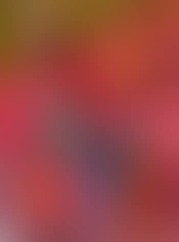Foule (preview)