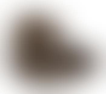 To noses that read a smell that spells Man (preview)